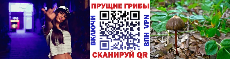 Псилоцибиновые грибы мухоморы  Чегем 